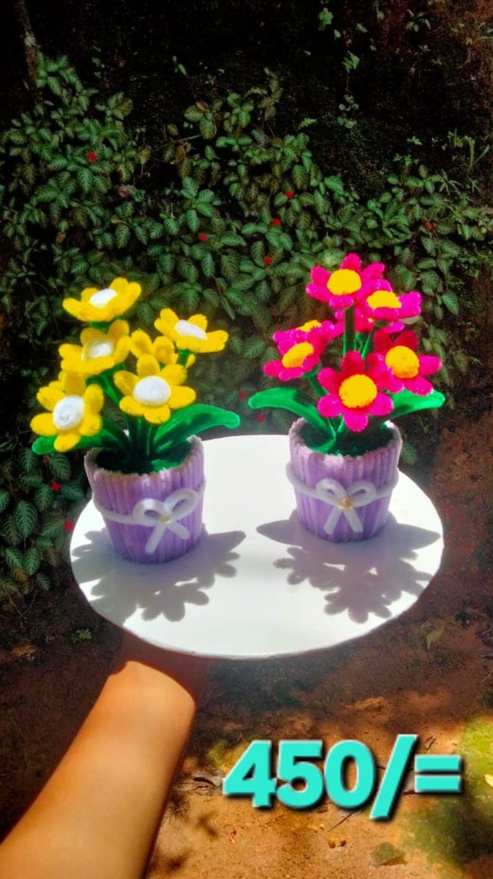 Handmade Pipe Cleaner Daisy Flower Pot